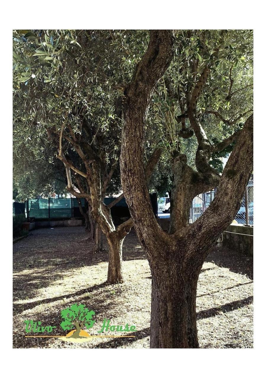 מלון ג'נובה Ulivo House מראה חיצוני תמונה
